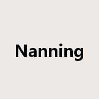 Nanning是什么意思