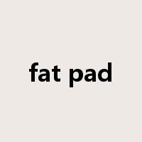 fat pad是什么意思