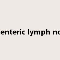 mesenteric lymph nodes是什么意思