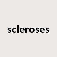 scleroses是什么意思