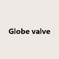 Globe valve是什么意思