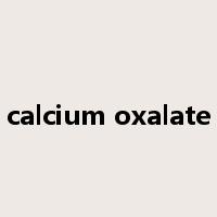 calcium oxalate是什么意思