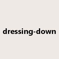 dressing-down是什么意思