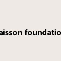 caisson foundation是什么意思