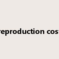 reproduction cost是什么意思