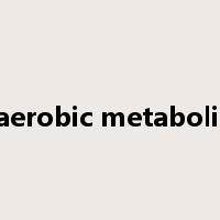 anaerobic metabolism是什么意思