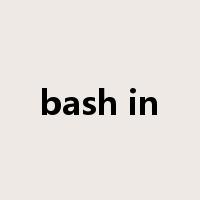 bash in是什么意思