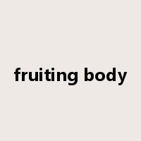 fruiting body是什么意思