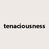 tenaciousness是什么意思