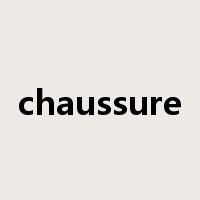 chaussure是什么意思