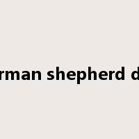 German shepherd dog是什么意思