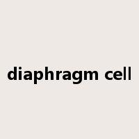 diaphragm cell是什么意思
