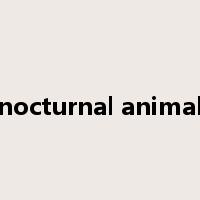 nocturnal animal是什么意思
