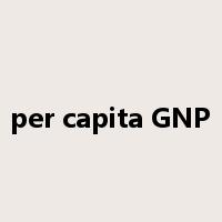 per capita GNP是什么意思