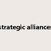 strategic alliances是什么意思