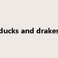 ducks and drakes是什么意思