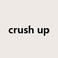 crush up是什么意思