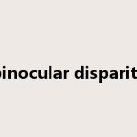 binocular disparity是什么意思