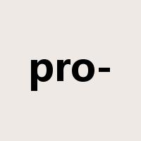 pro-是什么意思