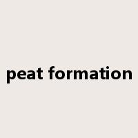 peat formation是什么意思
