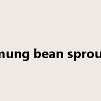 mung bean sprout是什么意思