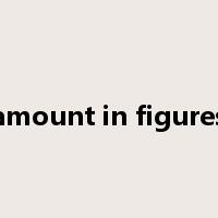 amount in figures是什么意思