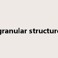 granular structure是什么意思