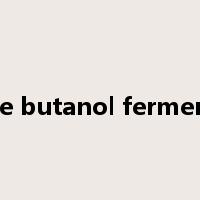 acetone butanol fermentation是什么意思
