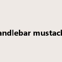 handlebar mustache是什么意思