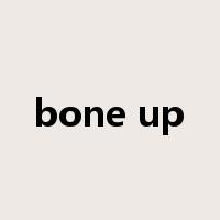 bone up是什么意思