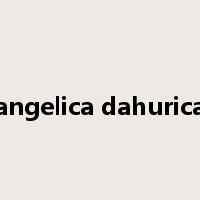 angelica dahurica是什么意思