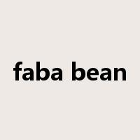 faba bean是什么意思