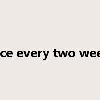 once every two weeks是什么意思