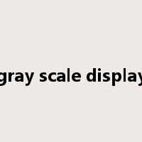 gray scale display是什么意思