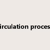 circulation process是什么意思
