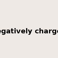 negatively charged是什么意思