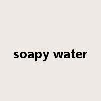 soapy water是什么意思