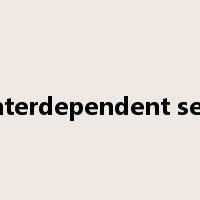 Interdependent self是什么意思