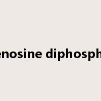 adenosine diphosphate是什么意思