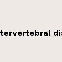 intervertebral disc是什么意思