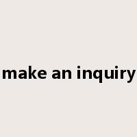 make an inquiry是什么意思