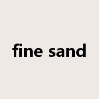 fine sand是什么意思