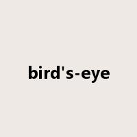 bird's-eye是什么意思