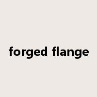 forged flange是什么意思
