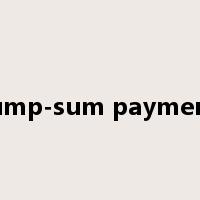 lump-sum payment是什么意思