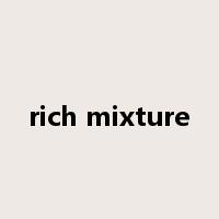 rich mixture是什么意思