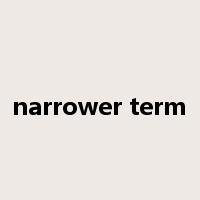 narrower term是什么意思