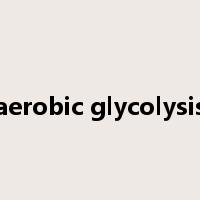 aerobic glycolysis是什么意思