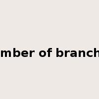 number of branches是什么意思