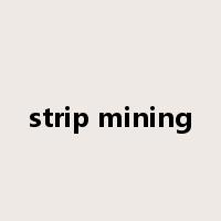 strip mining是什么意思